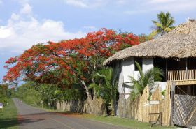 Belize street outside traditional village – Best Places In The World To Retire – International Living